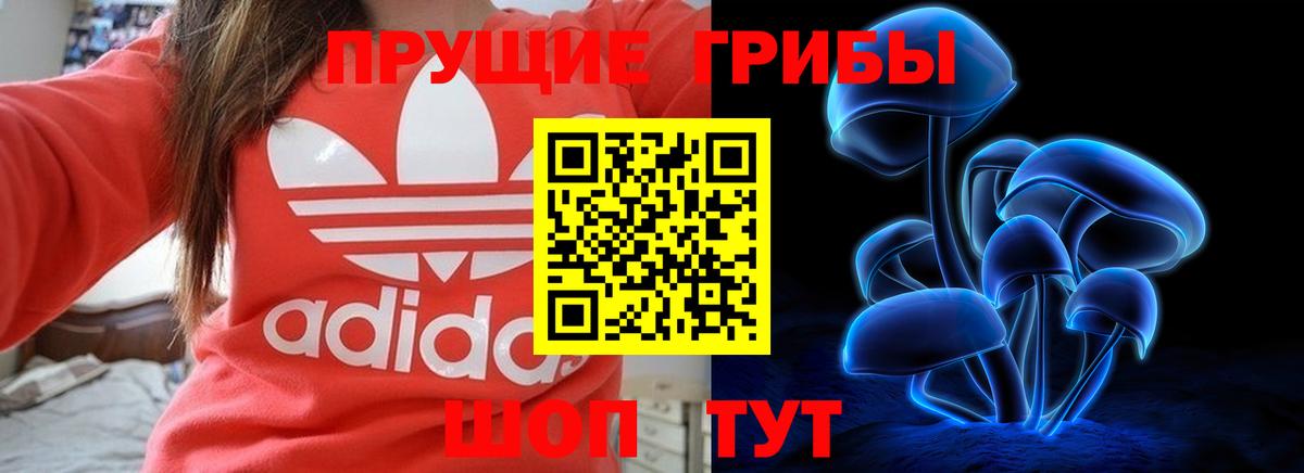 Псилоцибиновые грибы ЛСД Кондопога